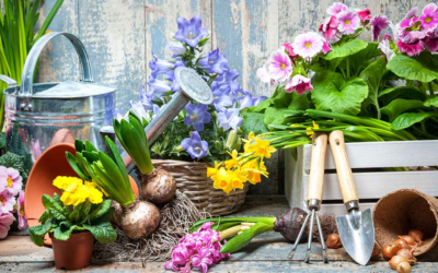 Apríl v záhrade: Čo všetko vás čaká tento mesiac